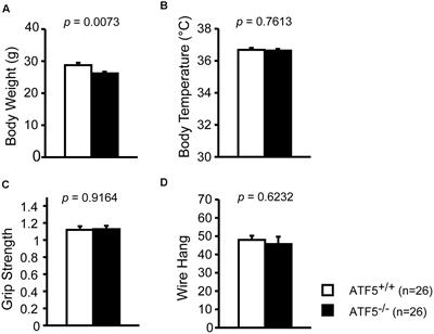 Comprehensive Behavioral Analysis of Activating Transcription Factor 5-Deficient Mice